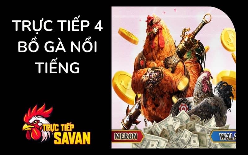 Trực Tiếp Savan phát sóng bốn bồ gà nổi tiếng Trực Tiếp Savan phát sóng bốn bồ gà nổi tiếng