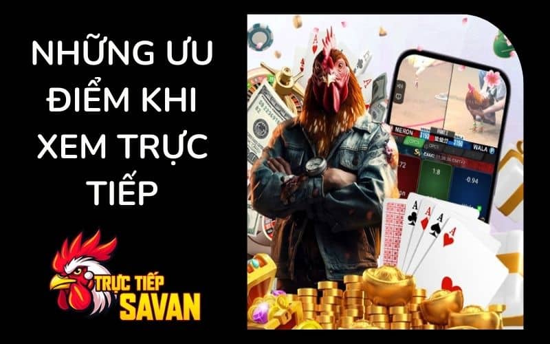 Xem đá gà tại trực tiếp Savan mượt mà và có bình luận viên Xem đá gà tại trực tiếp Savan mượt mà và có bình luận viên