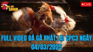 Full Video Đá Gà Phát Lại CPC3 Ngày 04/03/2025