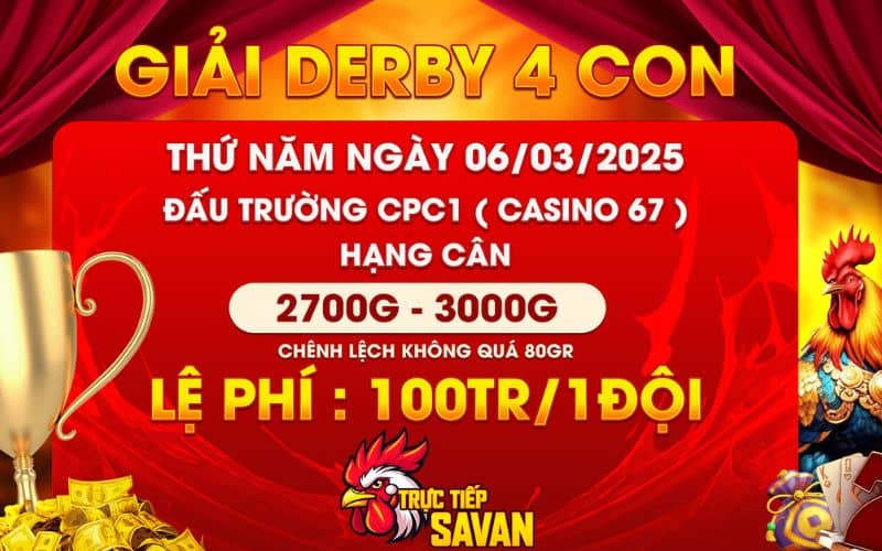 Giải DERBY 4 con gà nòi tại CPC1 ngày 06/03/2025 Giải DERBY 4 con gà nòi tại CPC1 ngày 06/03/2025