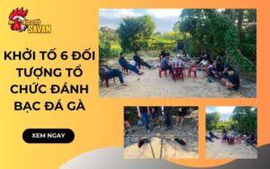 Khởi Tố 6 Đối Tượng Tổ Chức Đánh Bạc Đá Gà Tại Lâm Đồng