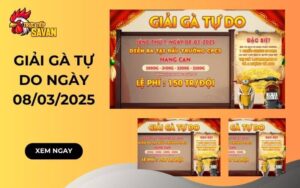 Thông báo giải 4 con gà tự do tại CPC3 ngày 08/03/2025