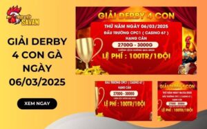 Thông báo giải derby 4 con gà nòi tại CPC1 ngày 06/03/2025