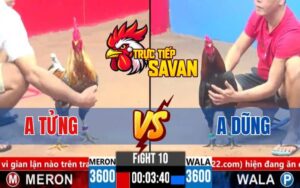 Trận 10 CPC3 Ngày 13/03/2025 - Gà Điều Anh Dũng Hạ Anh Tửng Nhanh Gọn