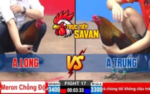 Trận 17 CPC2 Ngày 30/03/2025 – Gà Xanh Đá Cựa Nghiệt Khiến Gà Đỏ Ói Máu