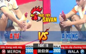 Trận 19 CPC3 Ngày 13/03/2025 - Hưng Cần Thơ Và Anh Tư
