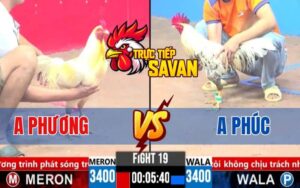 Trận 19 CPC3 Ngày 23/03/2025 - Trận Đấu Cân Sức, Kết Quả Hòa