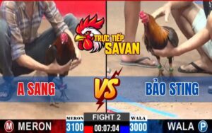 Trận 2 CPC2 Ngày 12/03/2025 - Bảo Sting Bị Hạ Bởi Gà Điều Anh Sang