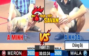 Trận 21 CPC3 Ngày 04/03/2025 - Anh Minh Và Anh Khoa Xổ Đá 500 Triệu
