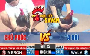 Trận 22 CPC3 Ngày 16/03/2025 - Đẳng Cấp Chú Phúc Nài Gà Quá Tỉnh