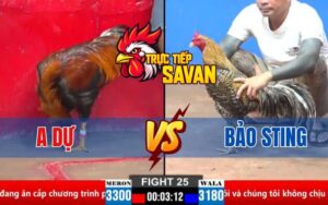Trận 25 CPC2 Ngày 30/03/2025 – Gà Anh Bảo Sting Gồng Tới Phút 90