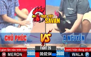 Trận 26 CPC3 Ngày 16/03/2025 - Gà Chú Phúc Hạ Anh Nguyên Nhanh Gọn