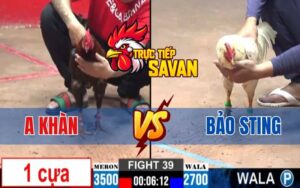 Trận 39 CPC2 Ngày 12/03/2025 - Bảo Sting Chấp Ngông Anh Khàn Và Cái Kết