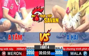 Trận 4 CPC3 Ngày 19/03/2025 - Trận Đấu Cực Căng Giữa Anh Tâm Và Anh Hai