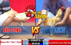 Trận 5 CPC2 Ngày 30/03/2025 – Bảo Sting Và Anh Trung Xổ 500 Triệu