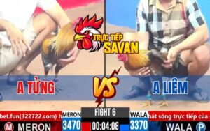 Trận 6 CPC3 Ngày 19/03/2025 - Gà Anh Tửng Đá Toàn Mu Lưng