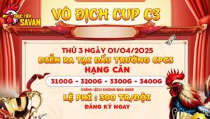 Thông báo giải vô địch cup C3 ngày 01/04/2025
