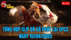 Tổng Hợp Clip Đá Gà Phát Lại CPC3 Ngày 15/04/2025