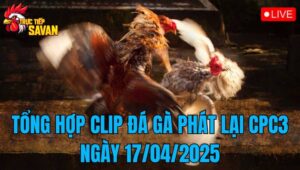 Tổng Hợp Clip Đá Gà Phát Lại CPC3 Ngày 17/04/2025