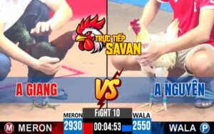 Trận 10 CPC3 Ngày 15/04/2025 – Anh Giang Và Anh Nguyên Xổ 500 Triệu