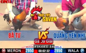Trận 14 CPC1 Ngày 10/04/2025 - Bà Tư Đụng Độ Với Chị Quảng Yến Nhi