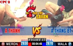 Trận 17 CPC2 Ngày 16/04/2025 – Anh Thanh Và Anh Thắng Bến Tre