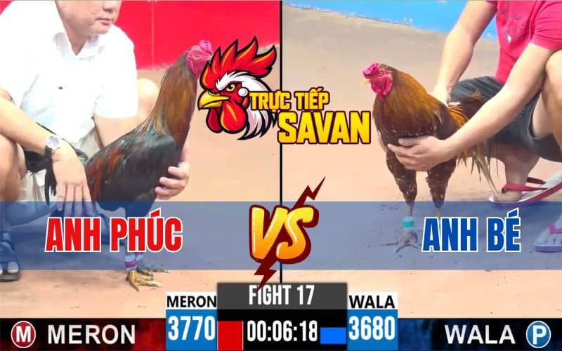 Trận 17 CPC3 Ngày 22/04/2025 – Gà Que Anh Phúc Đá Lọt Gà Khét