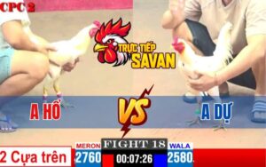 Trận 18 CPC1 Ngày 02/04/2025 – Gà Anh Hổ Đá Gà Xanh Hết Sửa