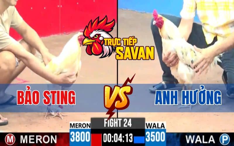 Trận 24 CPC3 Ngày 22/04/2025 – Chơi Liều Chấp Bảo Sting 3 Chấm Và Cái Kết