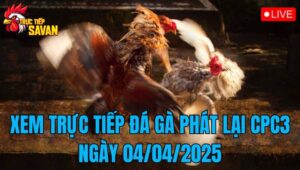 Xem Trực Tiếp Đá Gà Phát Lại CPC3 Ngày 04/04/2025